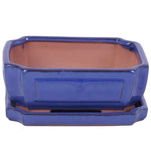 Bonsai accesoires Potset with saucer Ø20cm Blue