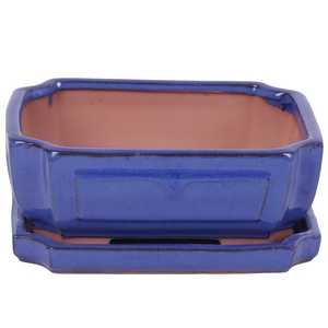 Bonsai accesoires Potset with saucer Ø20cm Blue