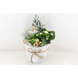 arr2 PL - Zink emmer XL x2