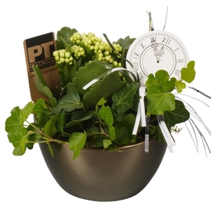 PTHN7239 ARRANGEMENT NEW YEAR IN KE