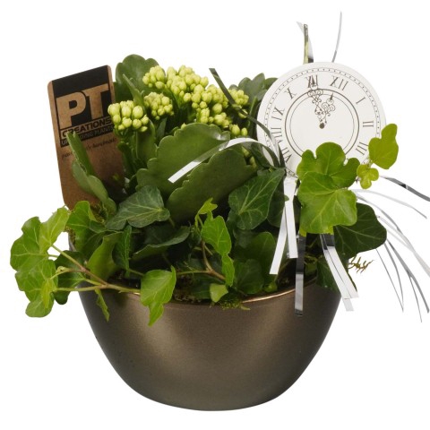 PTHN7239 ARRANGEMENT NEW YEAR IN KE