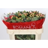 Hypericum Mellow Romance Spray
