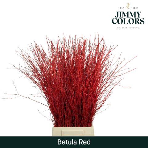 <h4>Betula L70 Rood</h4>