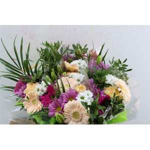 Bqt Color Medium 40cm