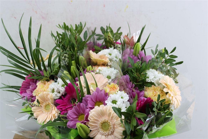 <h4>Bqt Color Medium 40cm</h4>