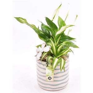 Keramiek pot golf 13cm