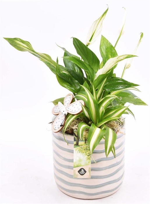 <h4>Keramiek pot golf 13cm</h4>