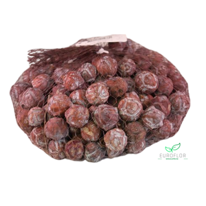 ESTRELINIA NATUREL 1KG