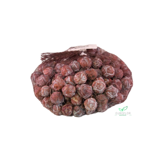 <h4>ESTRELINIA NATUREL 1KG</h4>