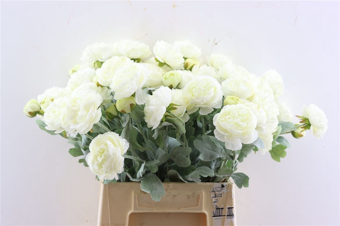 <h4>Artificial Stem Ranunculus White</h4>