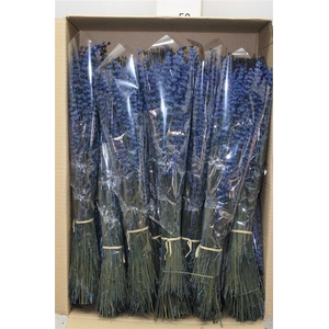 Lavendel Preserved