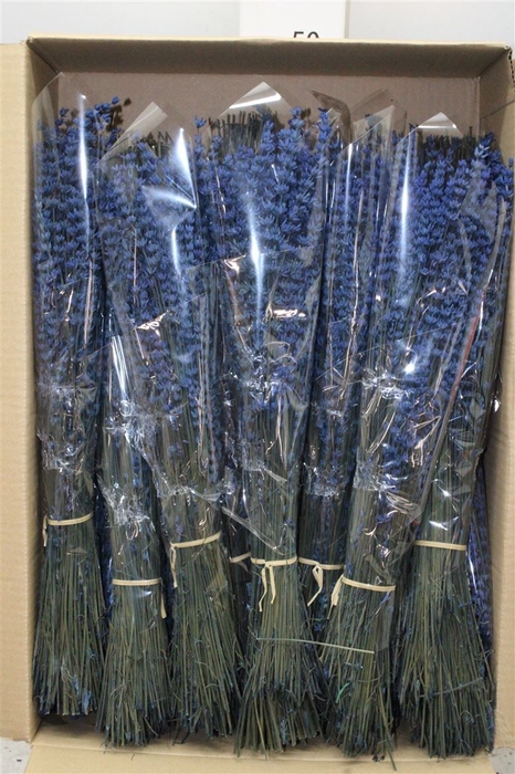 <h4>Lavendel Preserved</h4>