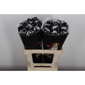 R Ov Wx Vintage Black Silver