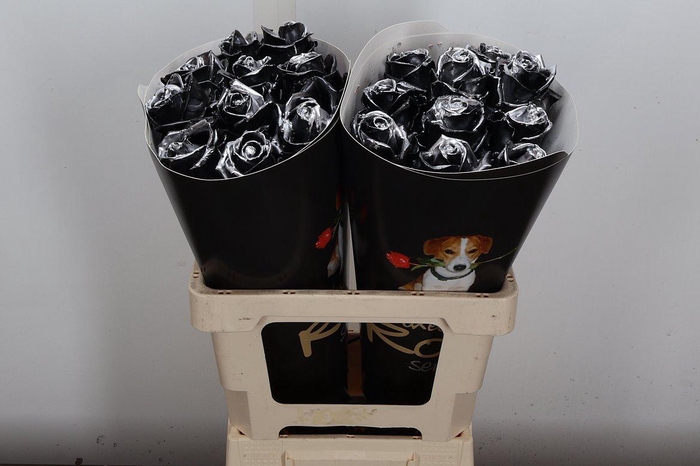 <h4>R Ov Wx Vintage Black Silver</h4>