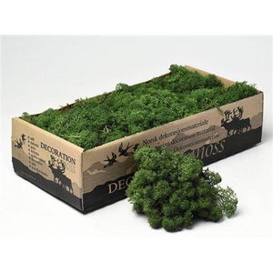 Reindeer Moss Green 500gr.