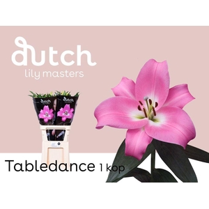 LI OT TABLEDANCE 1-kop