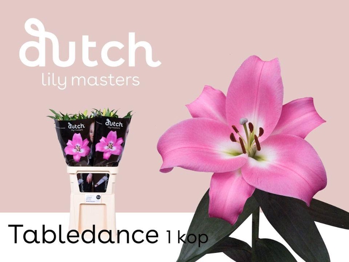 <h4>LI OT TABLEDANCE 1-kop</h4>