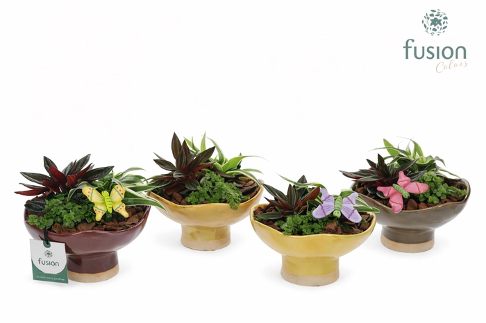 <h4>Keramiek schaal Medium met Voorjaar arrangement</h4>