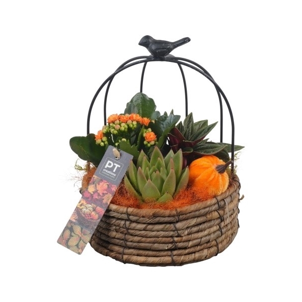 <h4>PTHI5446 Arrangement Herfst Indoor in touw mand met metaal</h4>