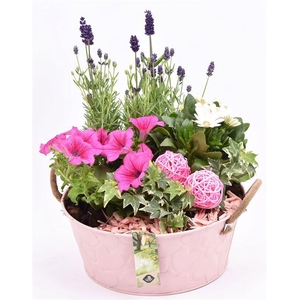 Zink schaal roze hart 25cm