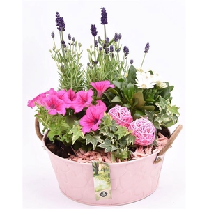 Zink schaal roze hart 25cm