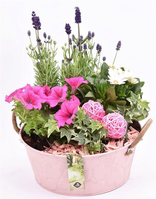 <h4>Zink schaal roze hart 25cm</h4>