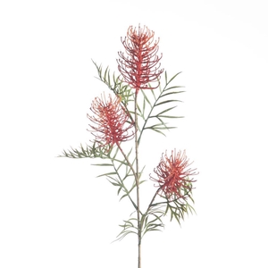 AF Grevillea Spray L82cm Red