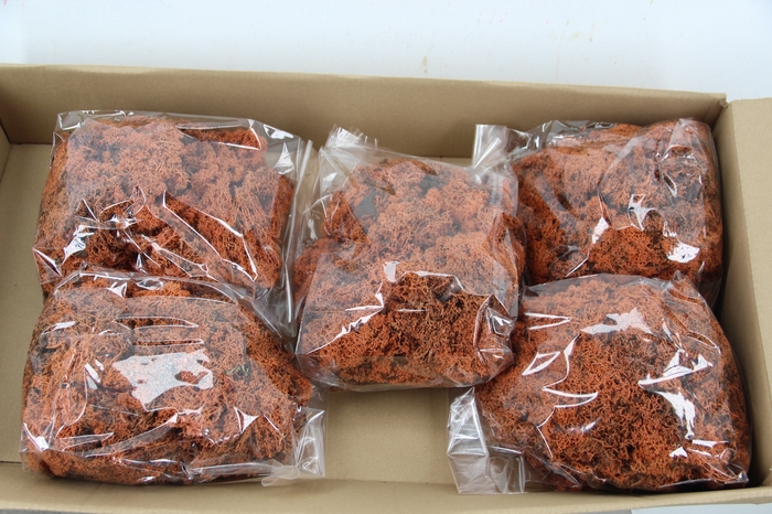 <h4>Moss Icelandic 500gr Orange</h4>