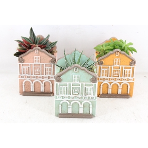 arr3 SN - Casa home KL. x12