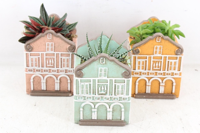 <h4>arr3 SN - Casa home KL. x12</h4>