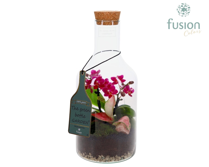 <h4>Green Bottle Fles Small met Phalaenopsis arrangement</h4>