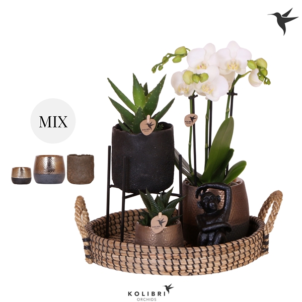 <h4>Kolibri Gift Set Urban copper</h4>