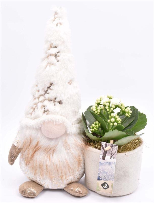 <h4>Gnoom 24x14cm</h4>