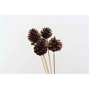 Bijsteker 50cm Dennenappel 4-6cm