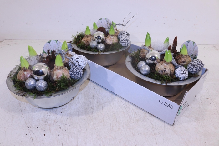 <h4>ARR HYACINTH</h4>