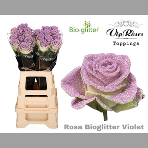 R GR BIO GLITTER VIOLET x20