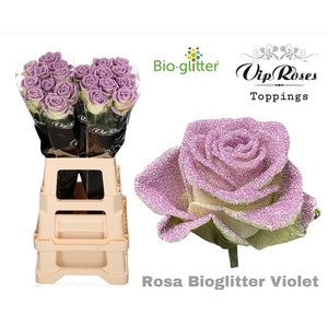 R Gr Bio Glitter Violet X20