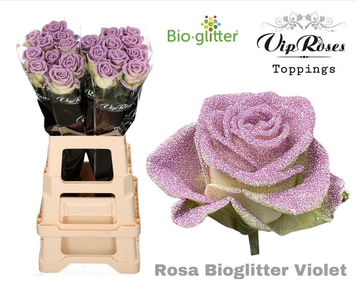 R GR BIO GLITTER VIOLET x20