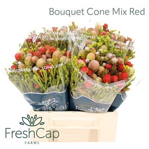 Bouquet Cone Mix Red