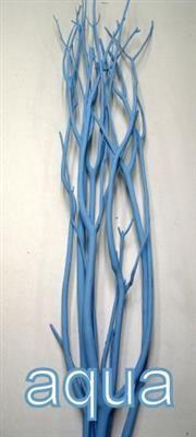 <h4>MITSUMATA BLAUW</h4>