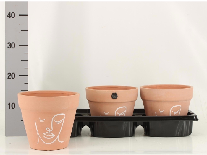 <h4>HARDWARE H%</h4>