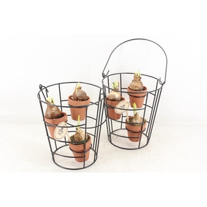 arr4 Narcis PL - Emmer frame 3 terra potjes