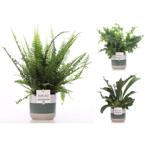 Varens gemengd in P&PURE Lauren ceramics