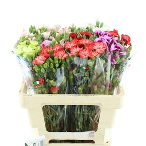 Di Tr Simply Mix In Bucket Extra