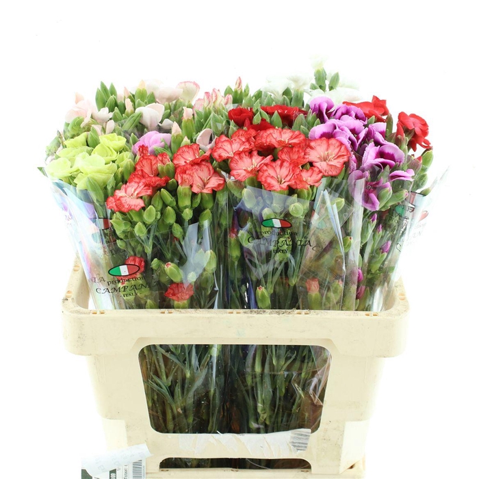 <h4>Di Tr Simply Mix In Bucket Extra</h4>