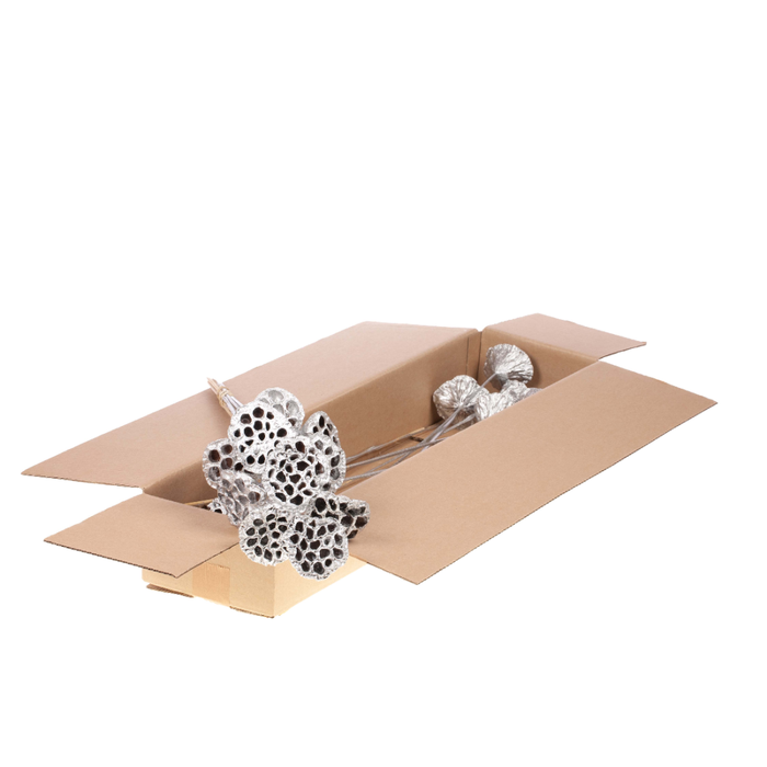 <h4>Lotus O/s Sb White S Glt</h4>