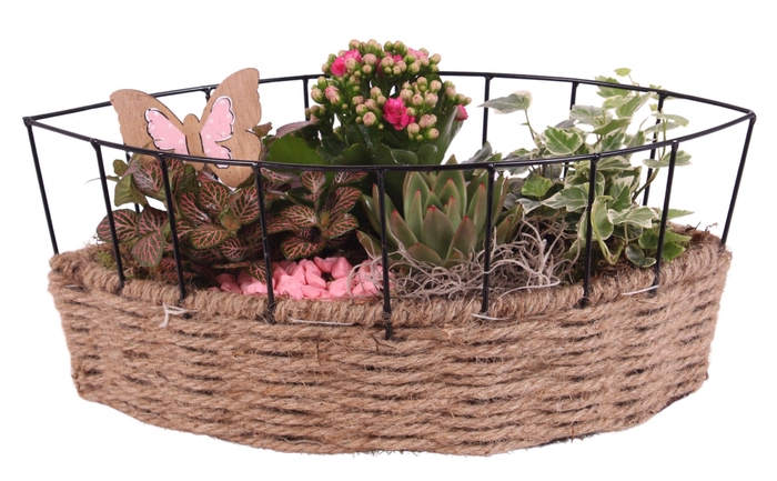 <h4>Opm Summer Arr. Indoor Metal Frame Rope Boat</h4>
