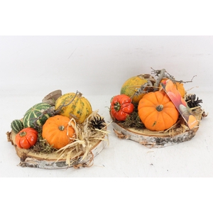 arr4 Sierfruit MB - Hout schijf x4