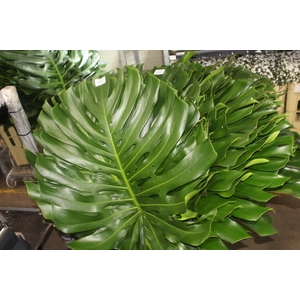 FOLHAGEM MONSTERA DELICIOSA 080 CM