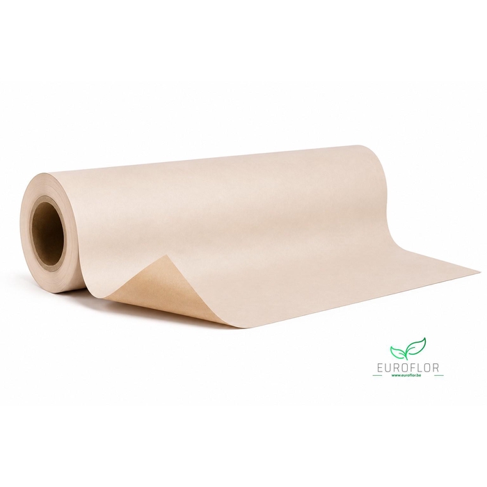 <h4>KRAFTPAPIER 10KG 50CM 50GR CREME</h4>